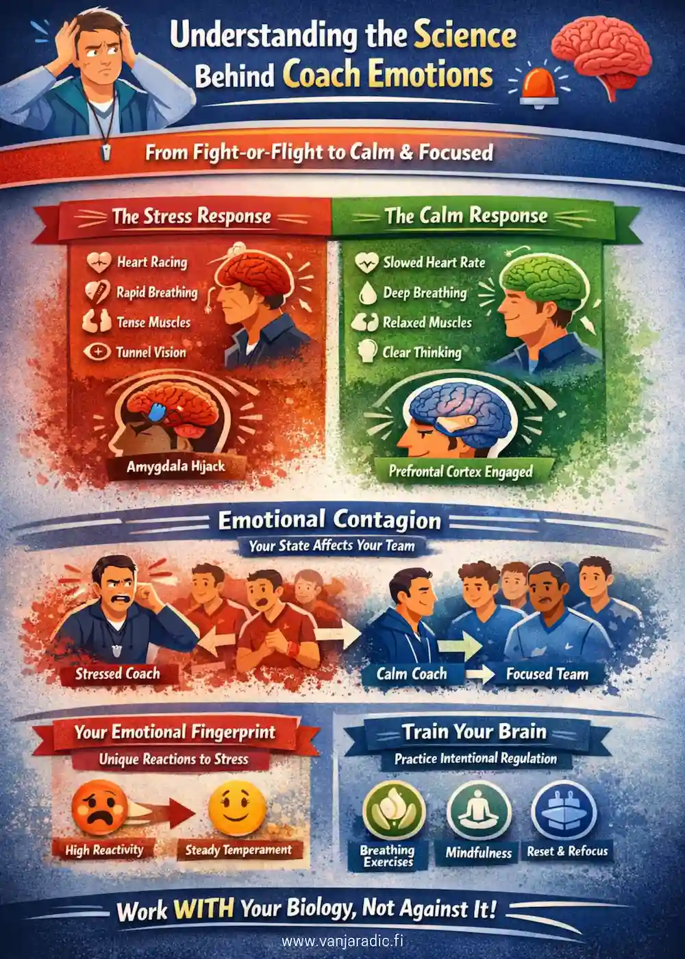 Emotional Regulation for Coaches in Sport - Vanja Radic Coaching